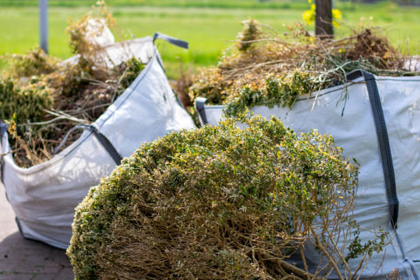 Best Estate Cleanout Services  in Hinckley, IL